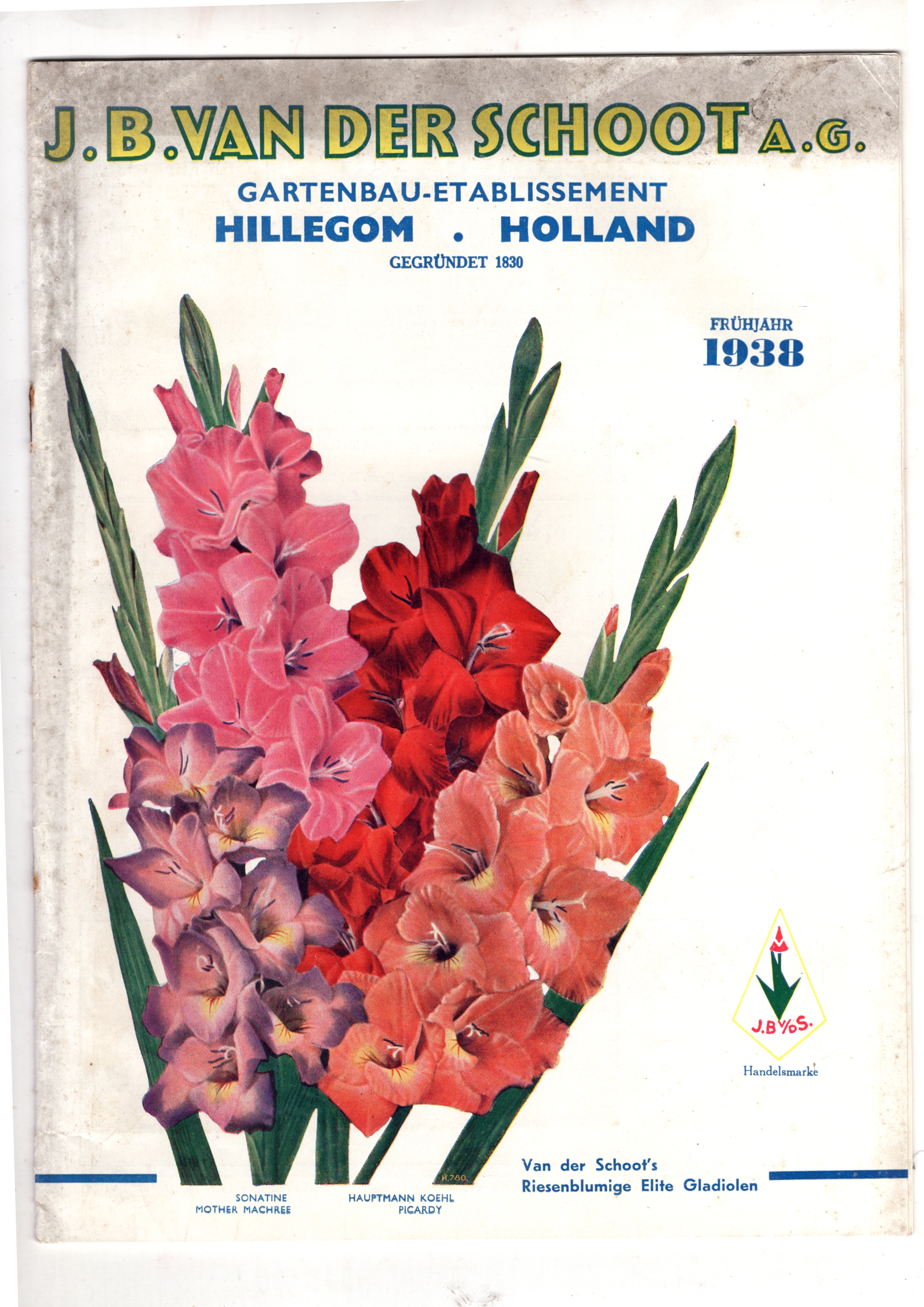  - Catalogue J. B. van der Schoot, Hillegom, 1938